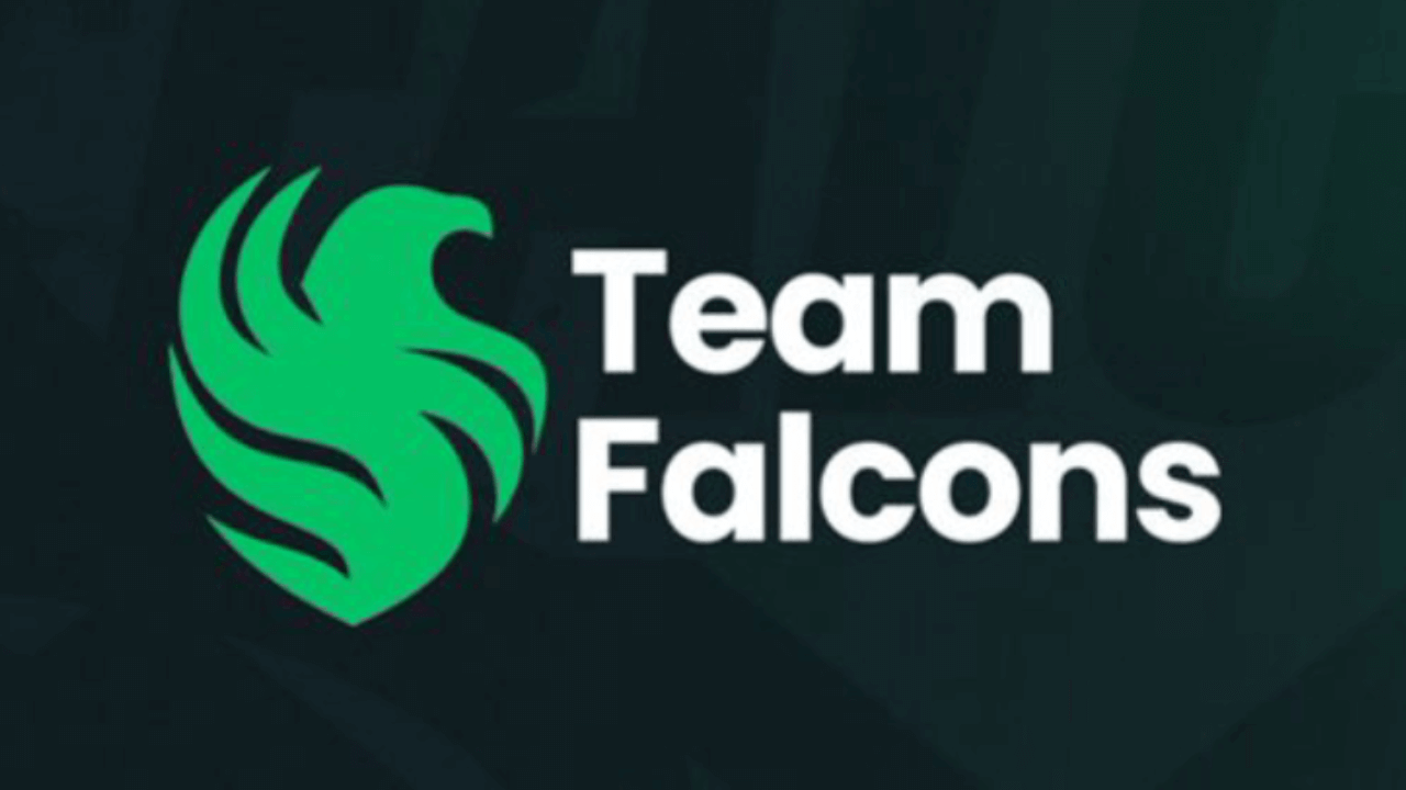 Team falcons